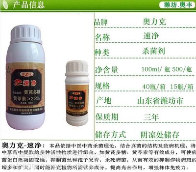 專業(yè)解讀草莓炭疽病的防控之道 速凈100ml水劑批發(fā)指南